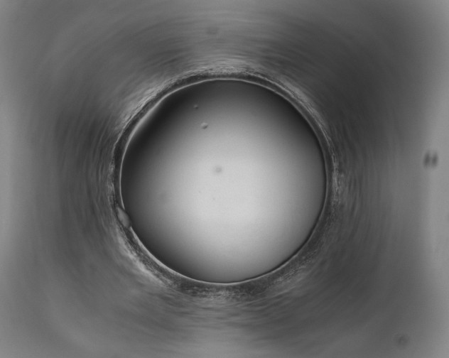 X0000111030485200906251308