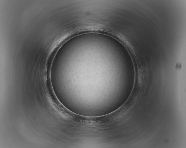 X0000111030486200906251308