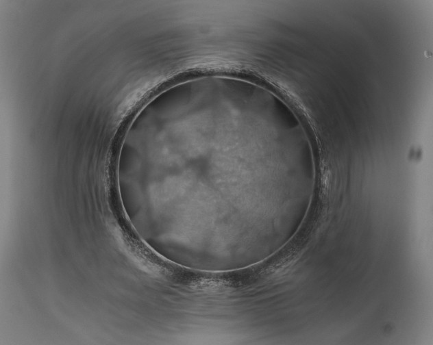 X0000111030487200906251308