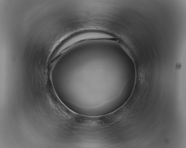 X0000111030488200906251308
