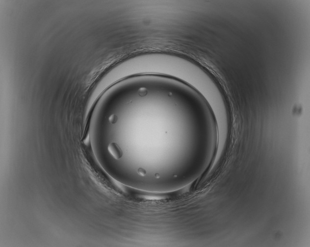 X0000111030489200906251308