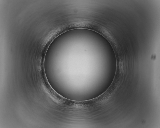 X0000111030490200906251308