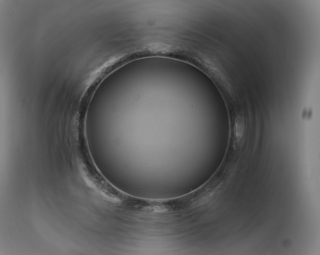 X0000111030492200906251308