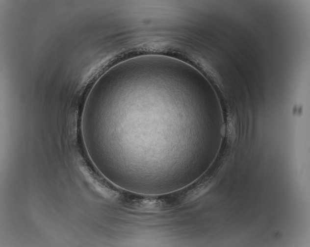 X0000111030493200906251308