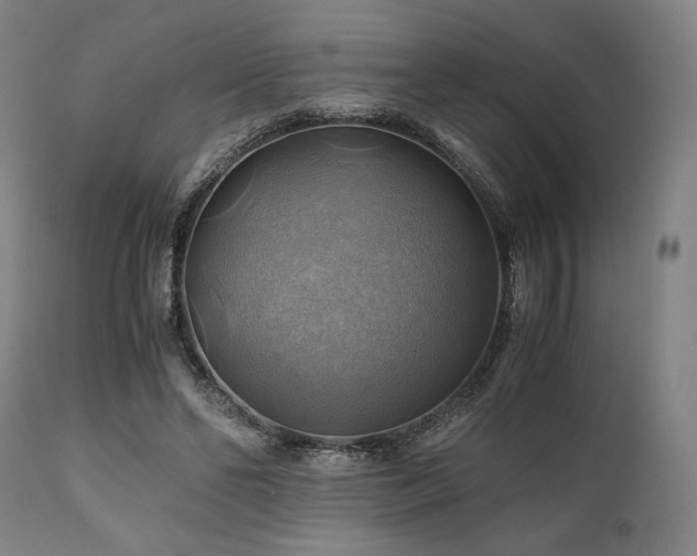 X0000111030494200906251308