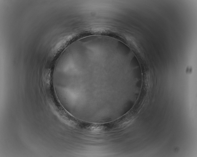 X0000111030495200906251308