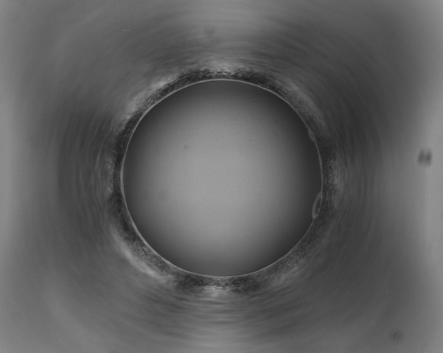X0000111030496200906251308