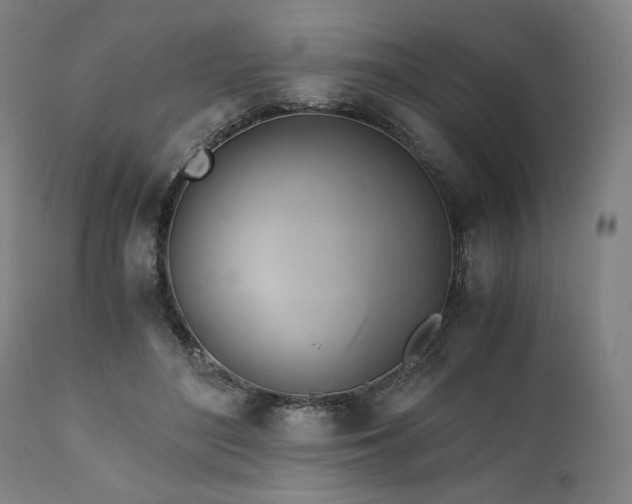 X0000111030500200906251308