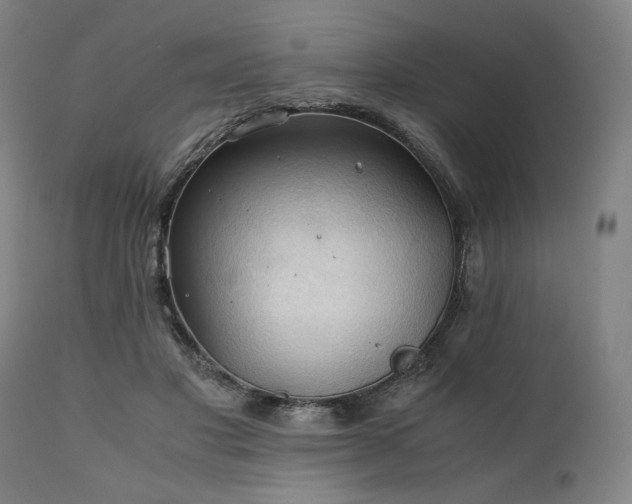 X0000111030501200906251308