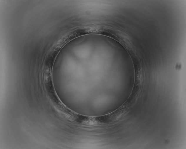 X0000111030503200906251308