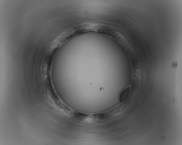 X0000111030504200906251308