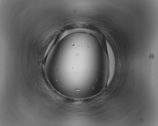 X0000111030505200906251308