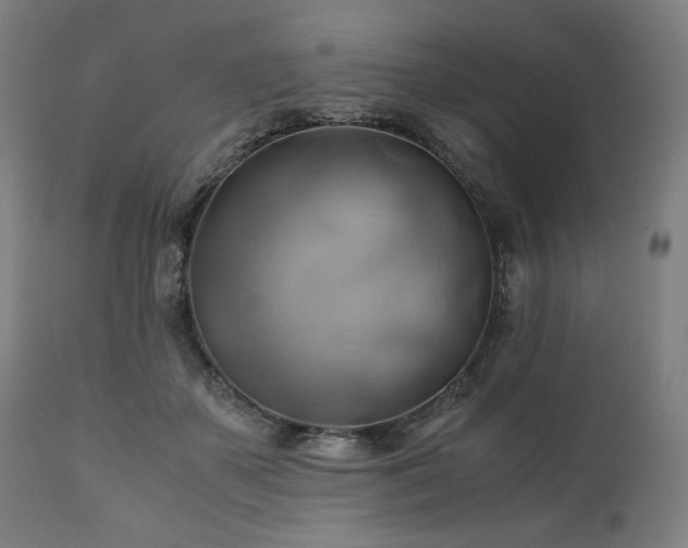 X0000111030507200906251308