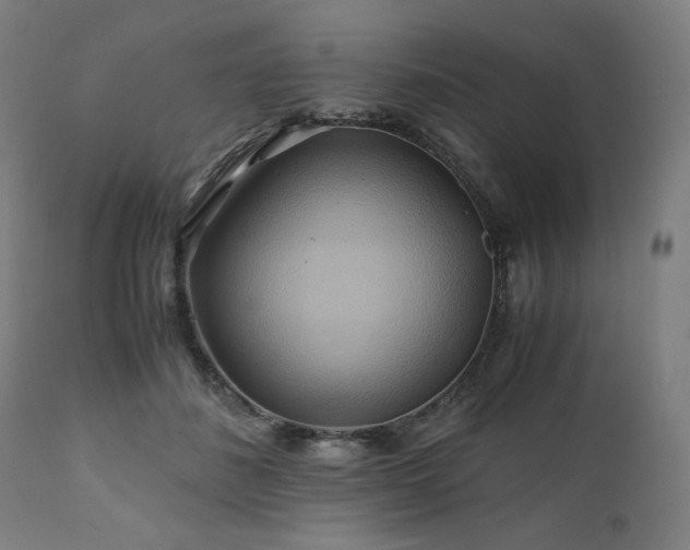 X0000111030508200906251308