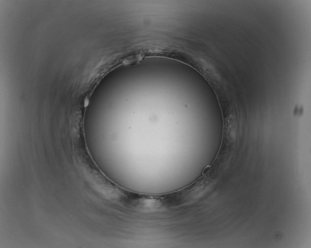 X0000111030509200906251308