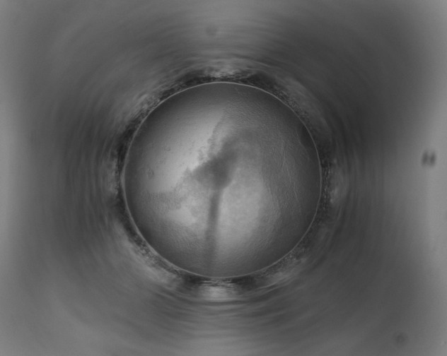 X0000111030510200906251308