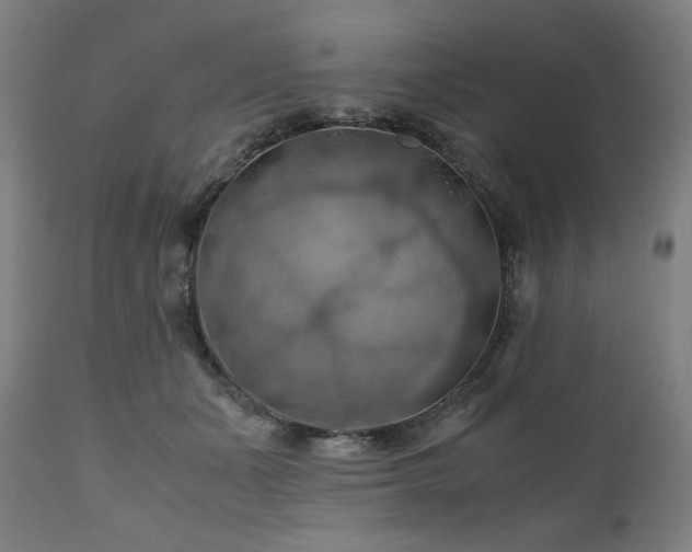 X0000111030511200906251308