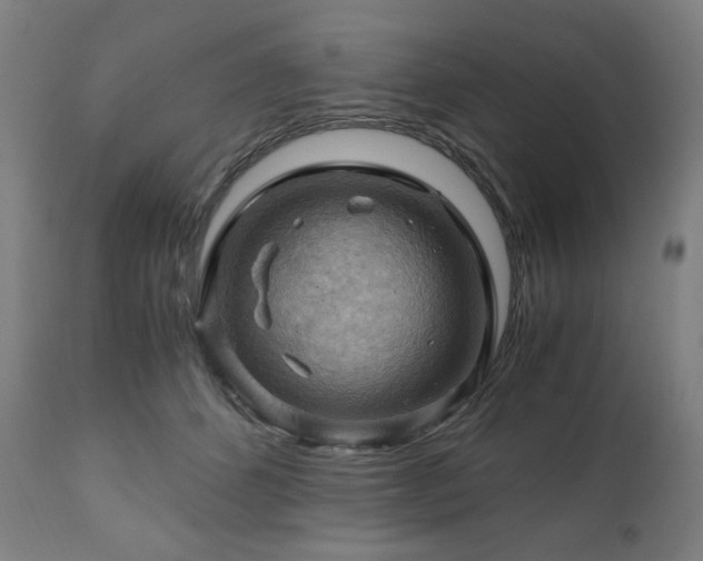 X0000111030512200906251308