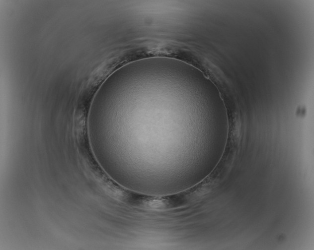 X0000111030513200906251308