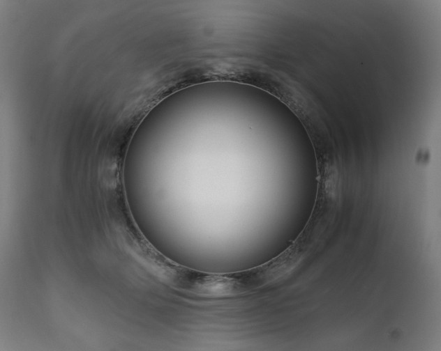 X0000111030514200906251308