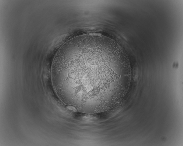 X0000111030515200906251308