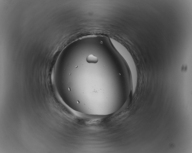 X0000111030516200906251308