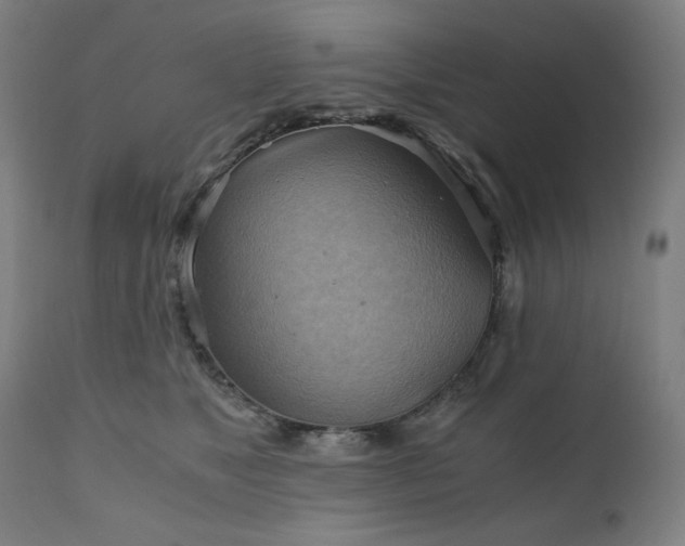 X0000111030517200906251308