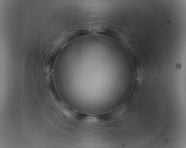 X0000111030519200906251308