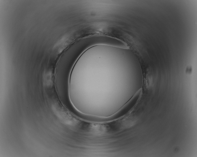 X0000111030520200906251308