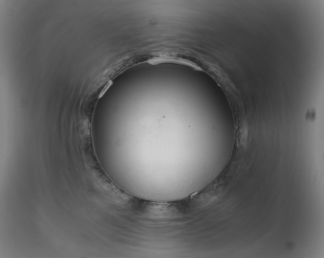 X0000111030521200906251308