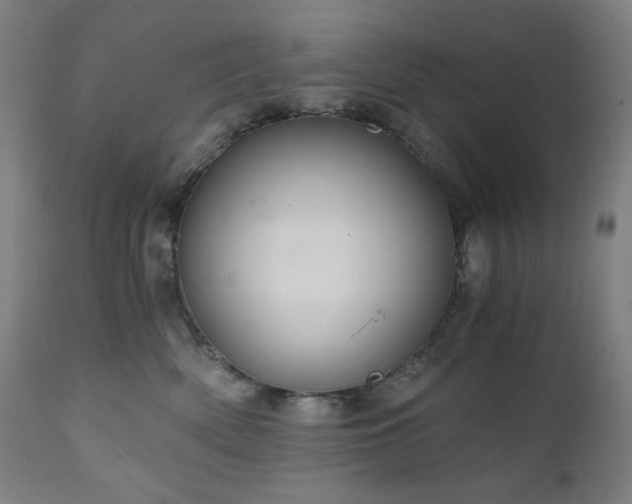 X0000111030522200906251308