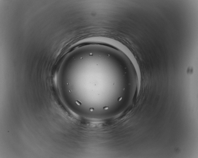X0000111030524200906251308