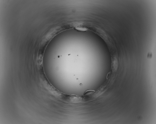X0000111030525200906251308