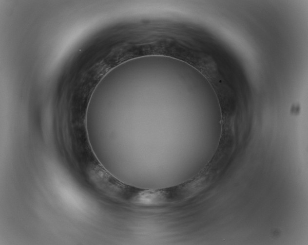 X0000111030526200906251308