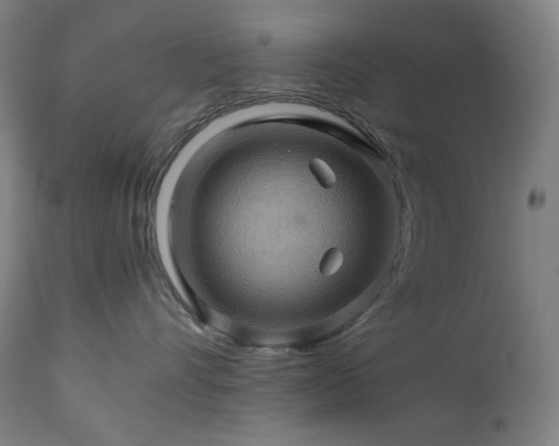 X0000111030528200906251308