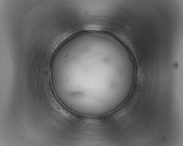 X0000111030529200906251307