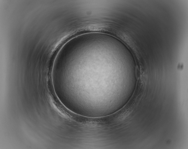 X0000111030530200906251307
