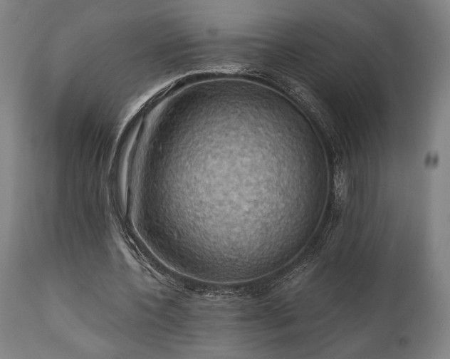 X0000111030532200906251307