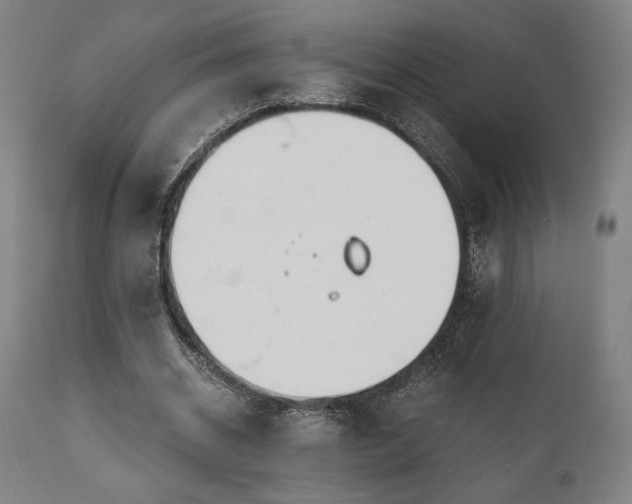 X0000111030534200906251307