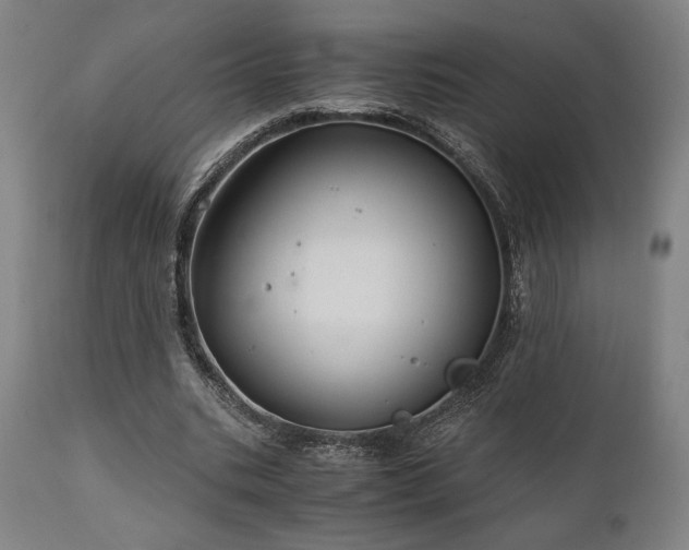 X0000111030535200906251307
