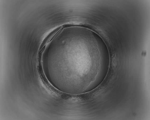 X0000111030536200906251307