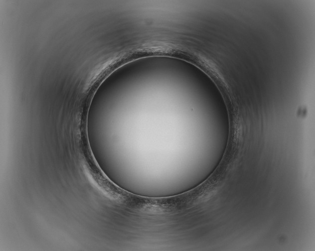 X0000111030538200906251307