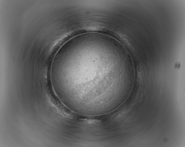 X0000111030539200906251307