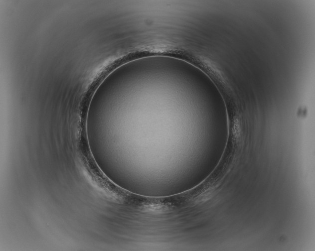 X0000111030540200906251307