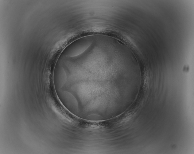 X0000111030542200906251307