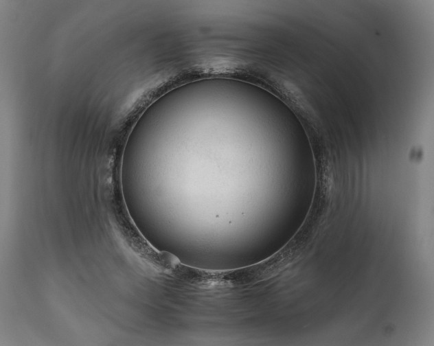 X0000111030543200906251307