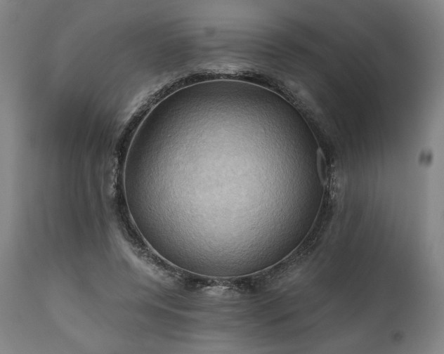 X0000111030544200906251307