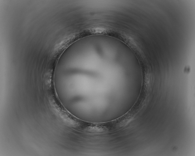 X0000111030545200906251307