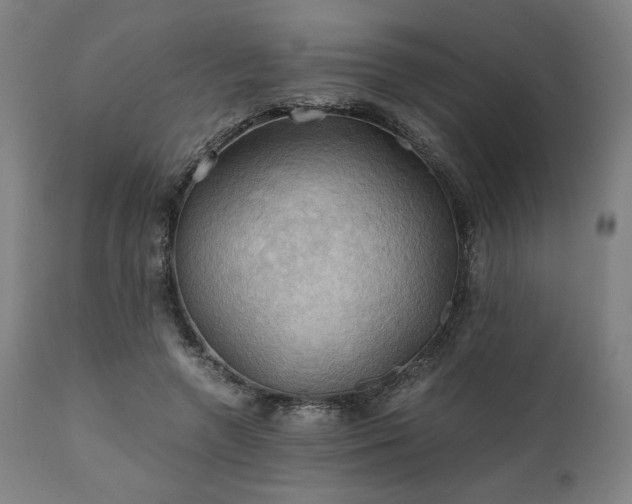 X0000111030546200906251307