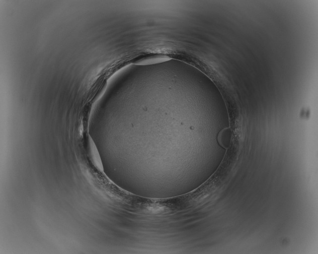 X0000111030547200906251307